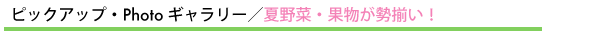 ピックアップ・Photoギャラリー/夏野菜・果物が勢揃い!
