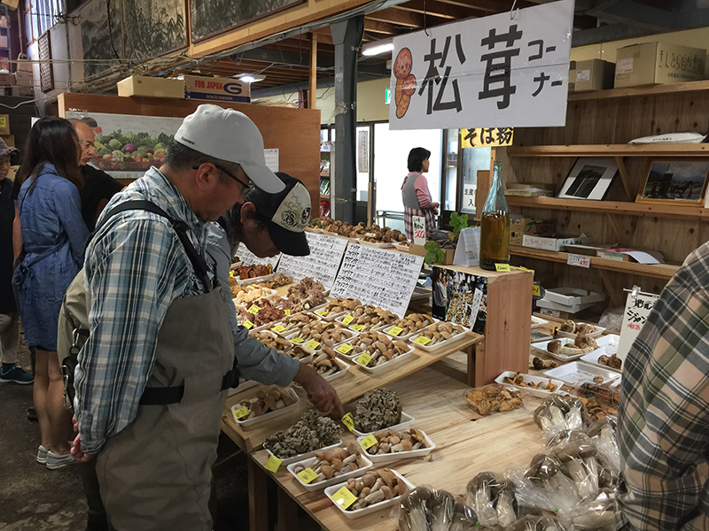 松茸