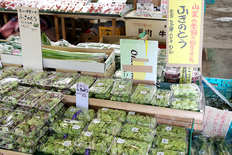 ふきのとう