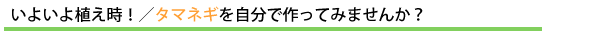 いよいよ植え時!/タマネギを自分で作ってみませんか?